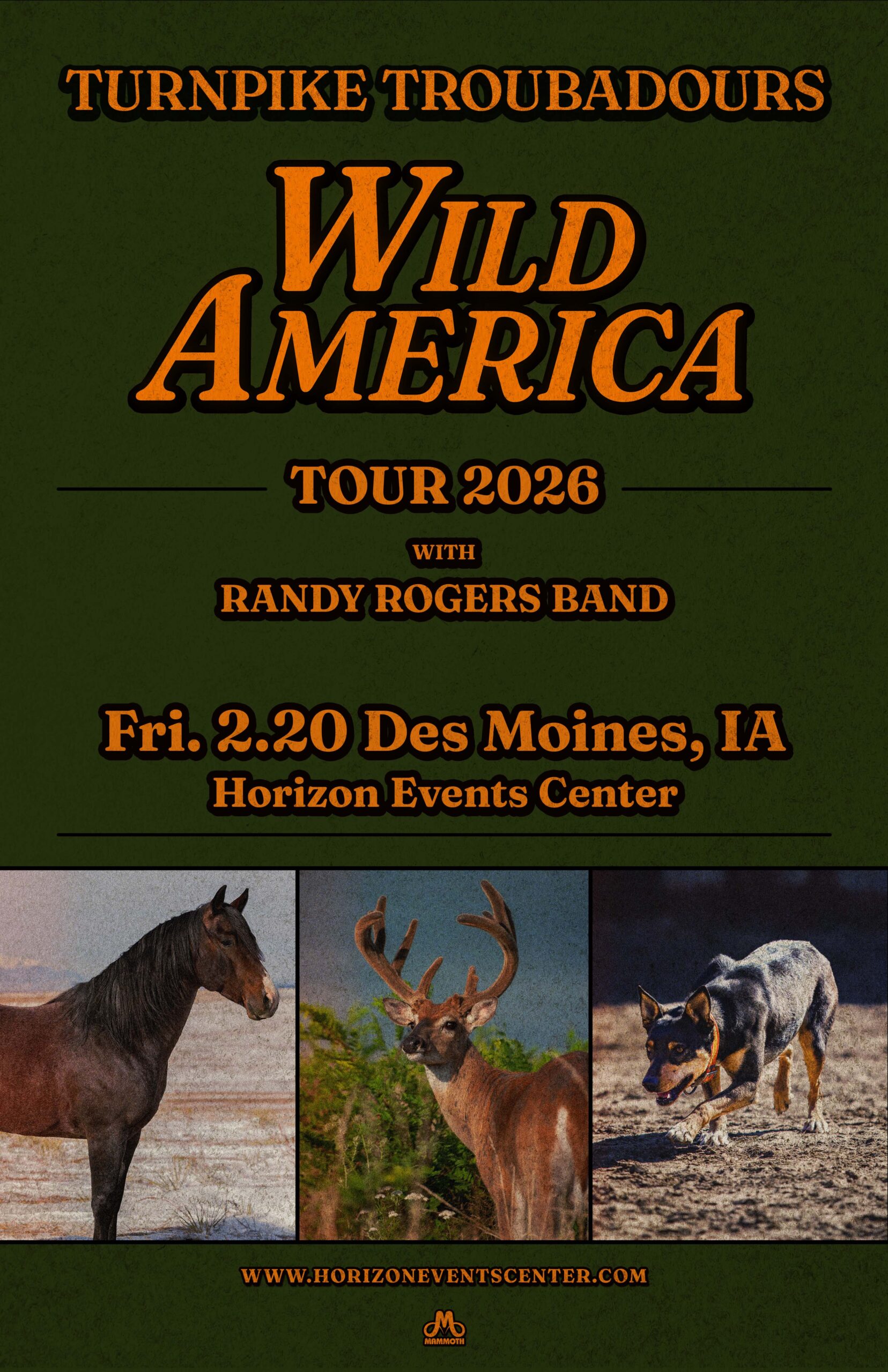 TurnpikeTroubadours_HorizonEventsCenter_11x17